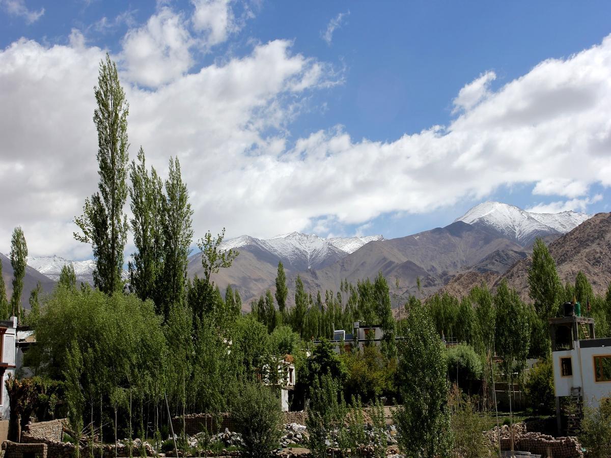 Hotel Mahay Palace Leh Buitenkant foto