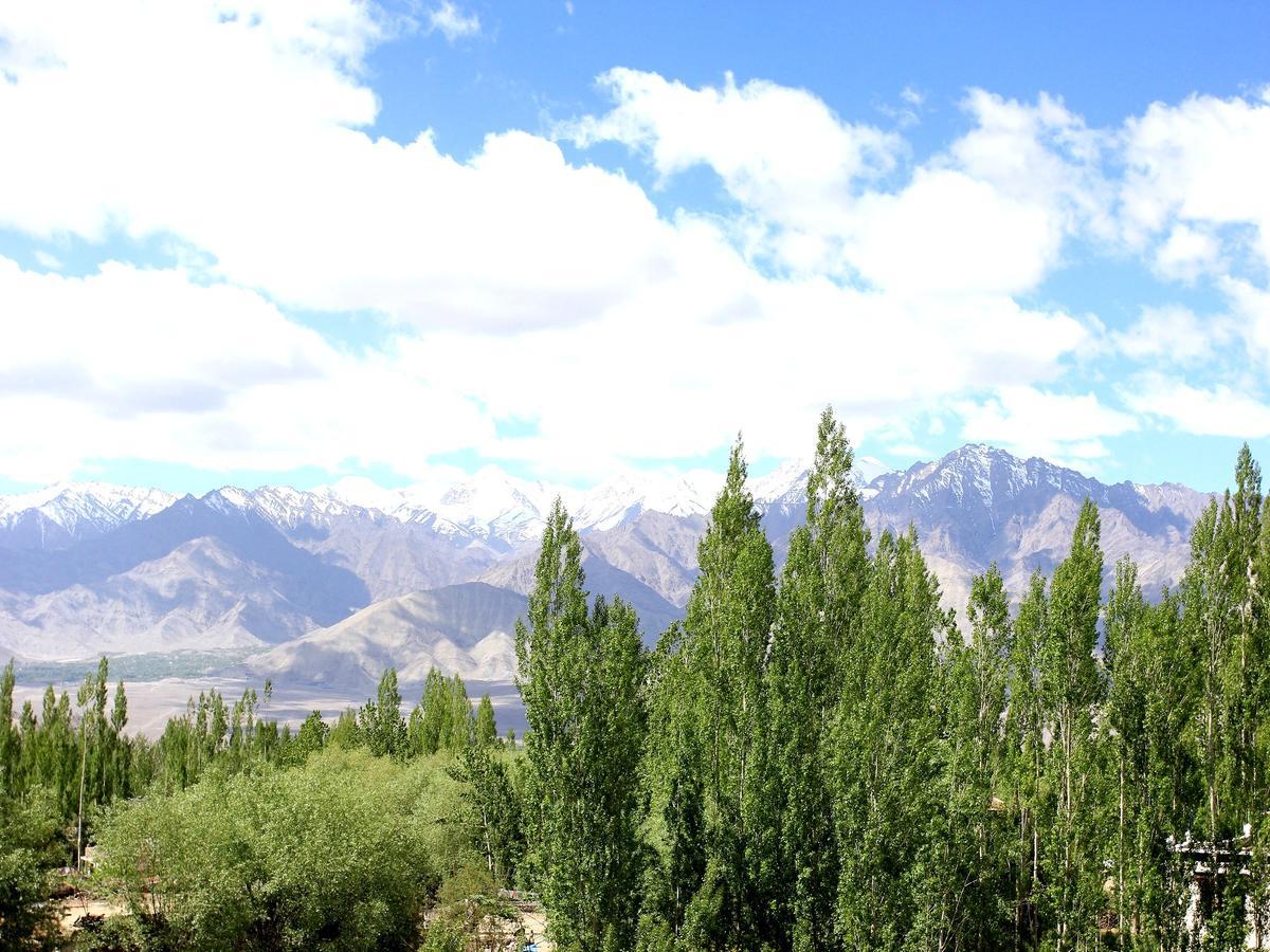 Hotel Mahay Palace Leh Buitenkant foto