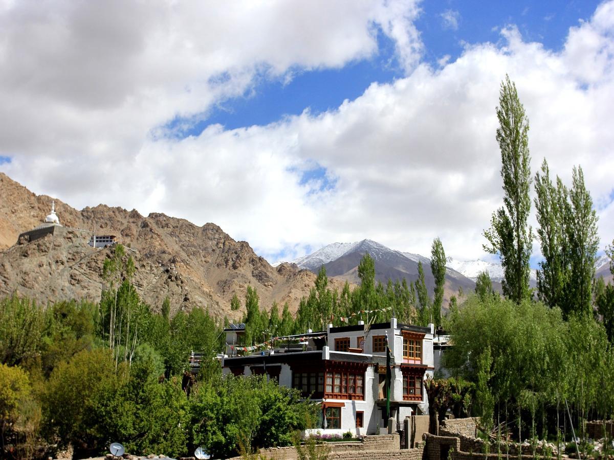 Hotel Mahay Palace Leh Buitenkant foto