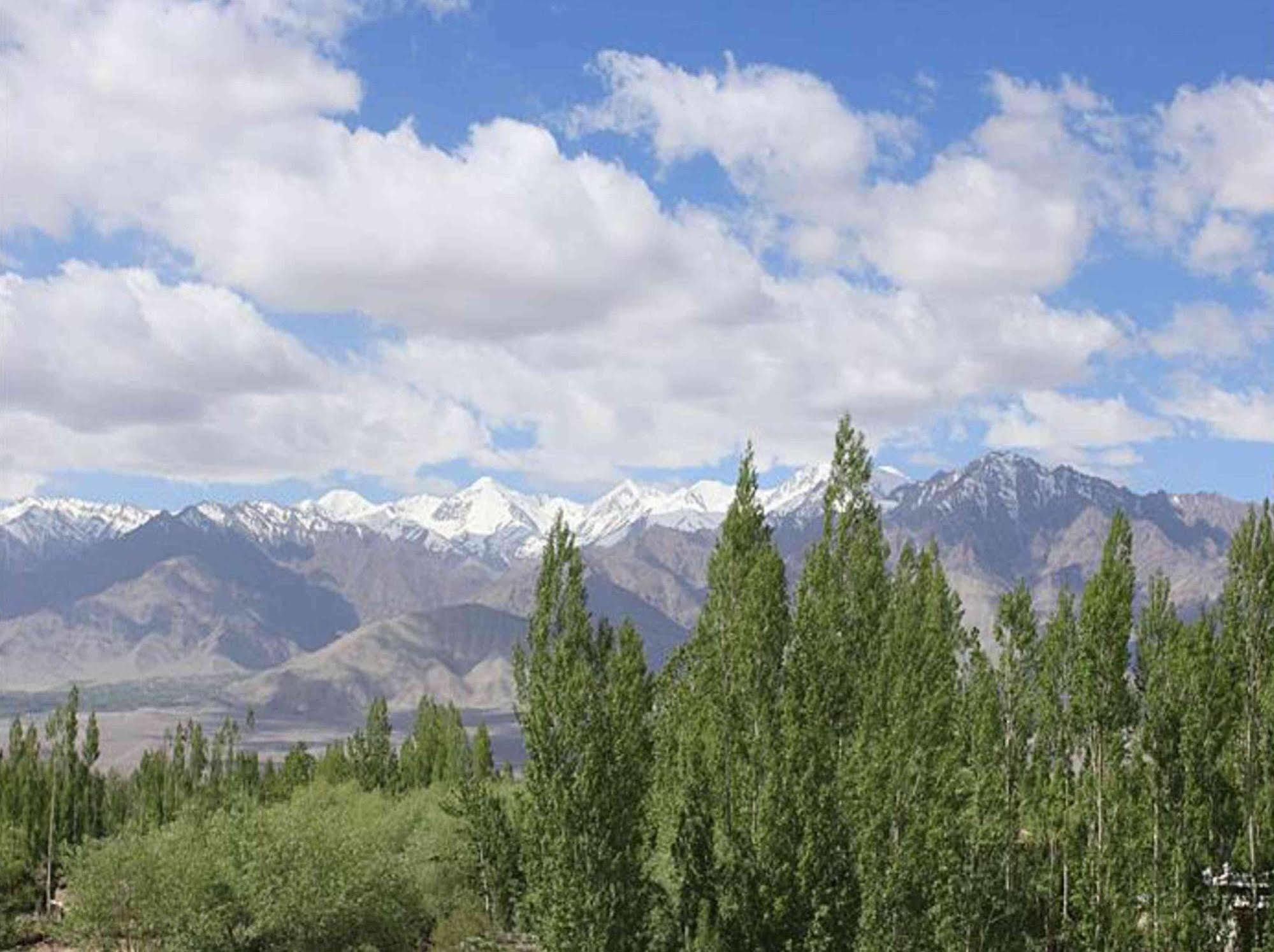 Hotel Mahay Palace Leh Buitenkant foto